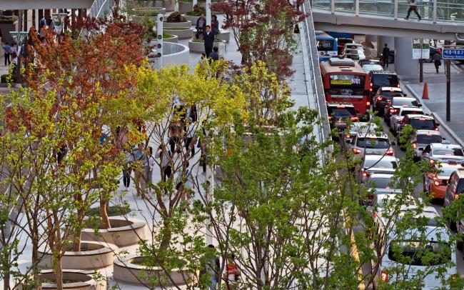 Urban roof garden with trees in round planters